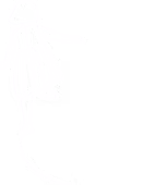 Dessin